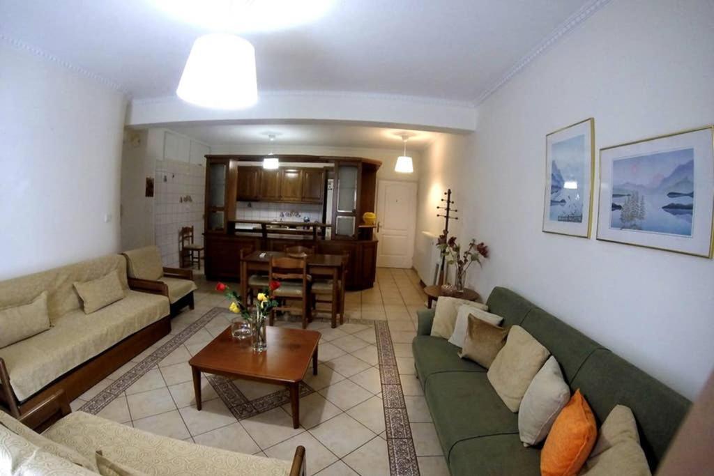 Big Apartment 1 - City Center Kalambaka Esterno foto