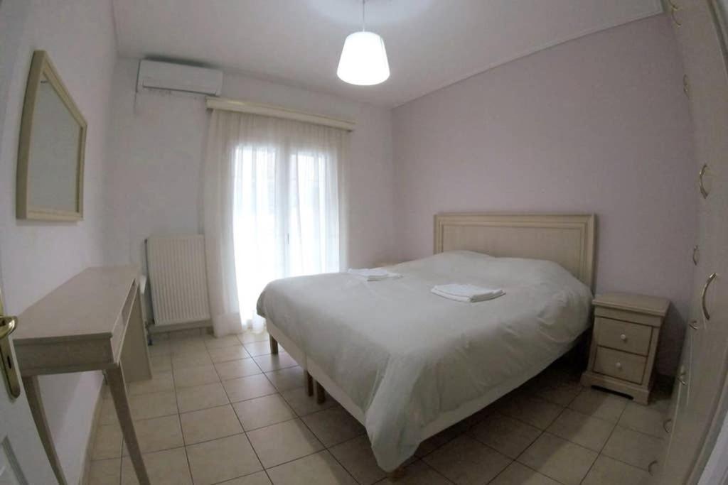 Big Apartment 1 - City Center Kalambaka Esterno foto